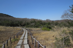 早春の木道～葦毛湿原