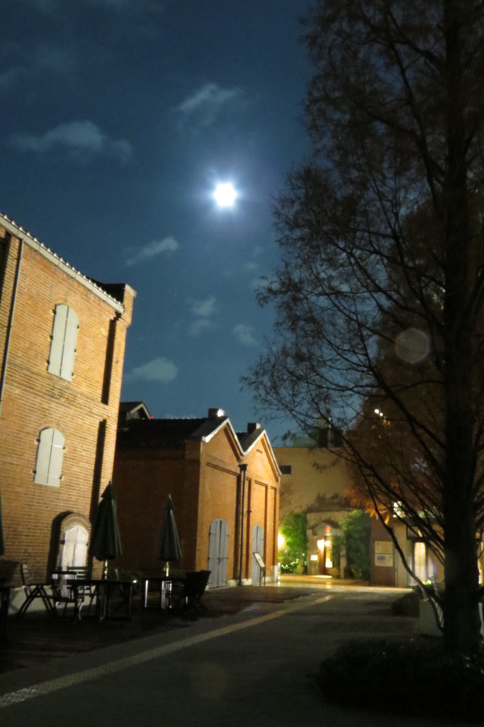 moonlight night