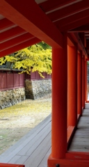 朱と黄色～厳島神社
