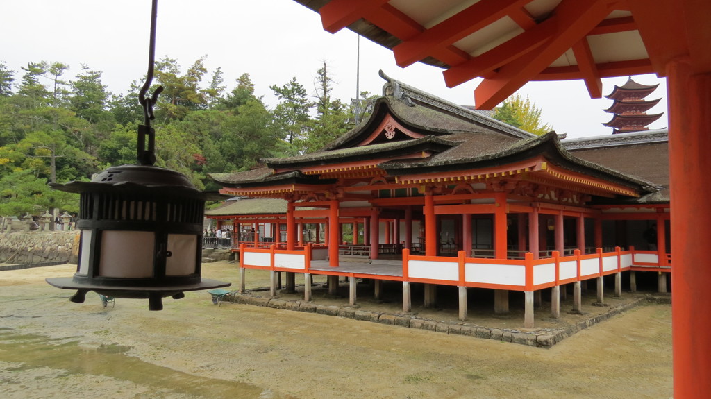 引き潮～厳島神社