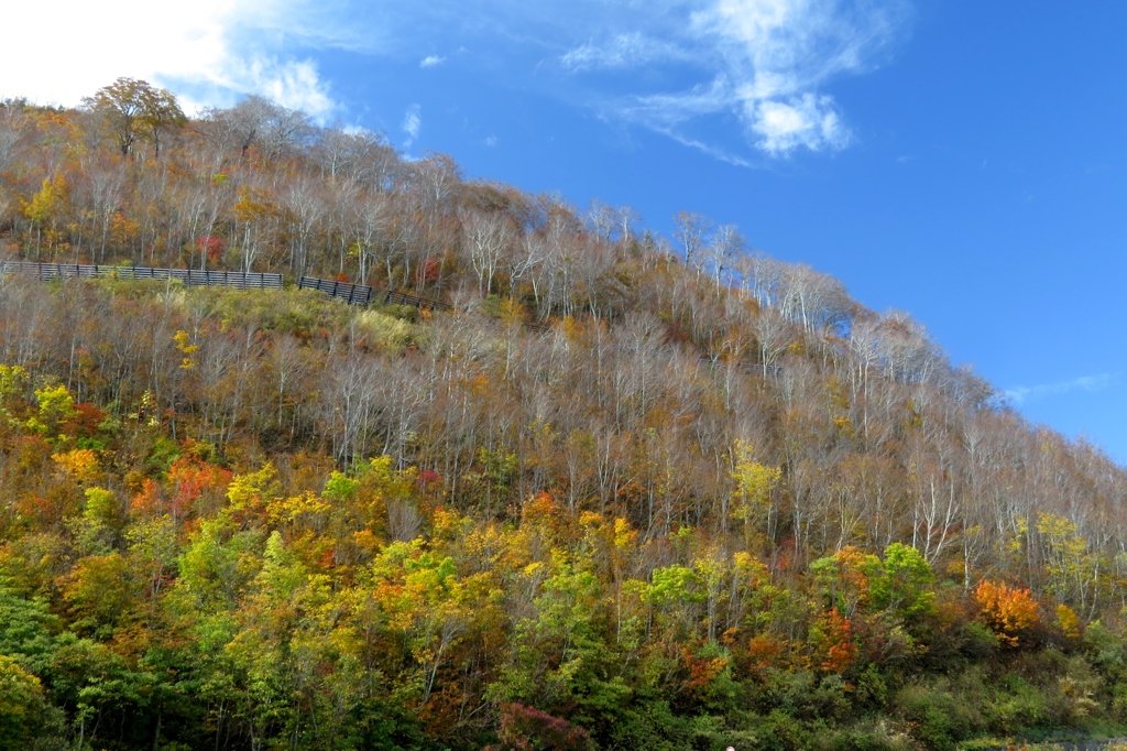 山の移ろい～蓮如茶屋