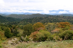 秋の気配~茶臼山