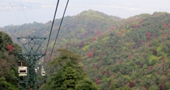 紅葉始まる弥山を空中散歩する