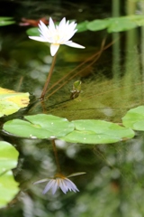 水鏡の二人