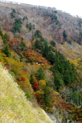 晩秋の風景～白山国見峠