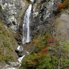 ふくべ大滝～秋色を纏い