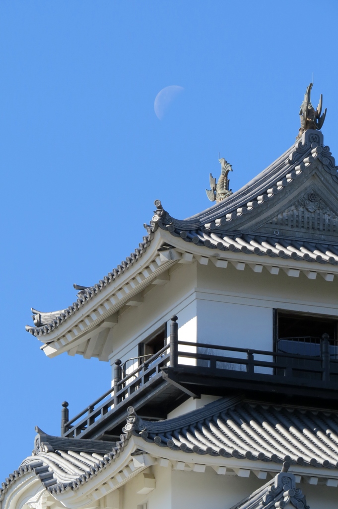 天守に月