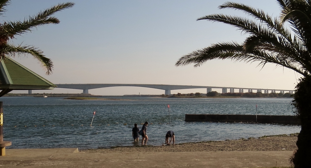 夏の一齣～弁天島