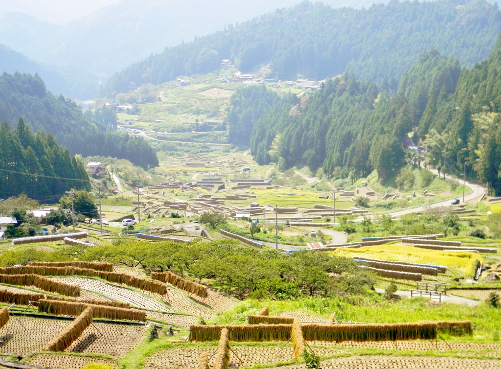 棚田秋～田園風景～