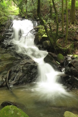 田代白滝～流れる