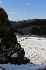 棚田冬~石垣苔生して~ 棚田冬~石垣苔生して~