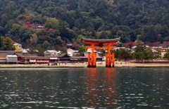紅葉と鳥居