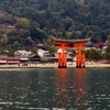 紅葉と鳥居