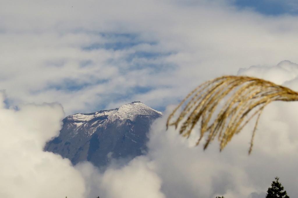 富嶽秋　壱景