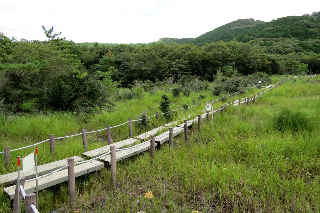 湿原の道続き～葦毛湿原