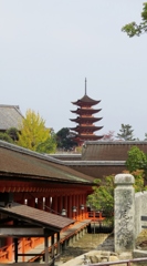 安芸の秋模様～厳島神社
