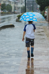 雨の中の青空