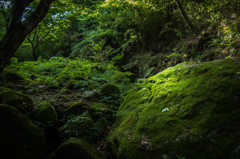 IMG_8178-2