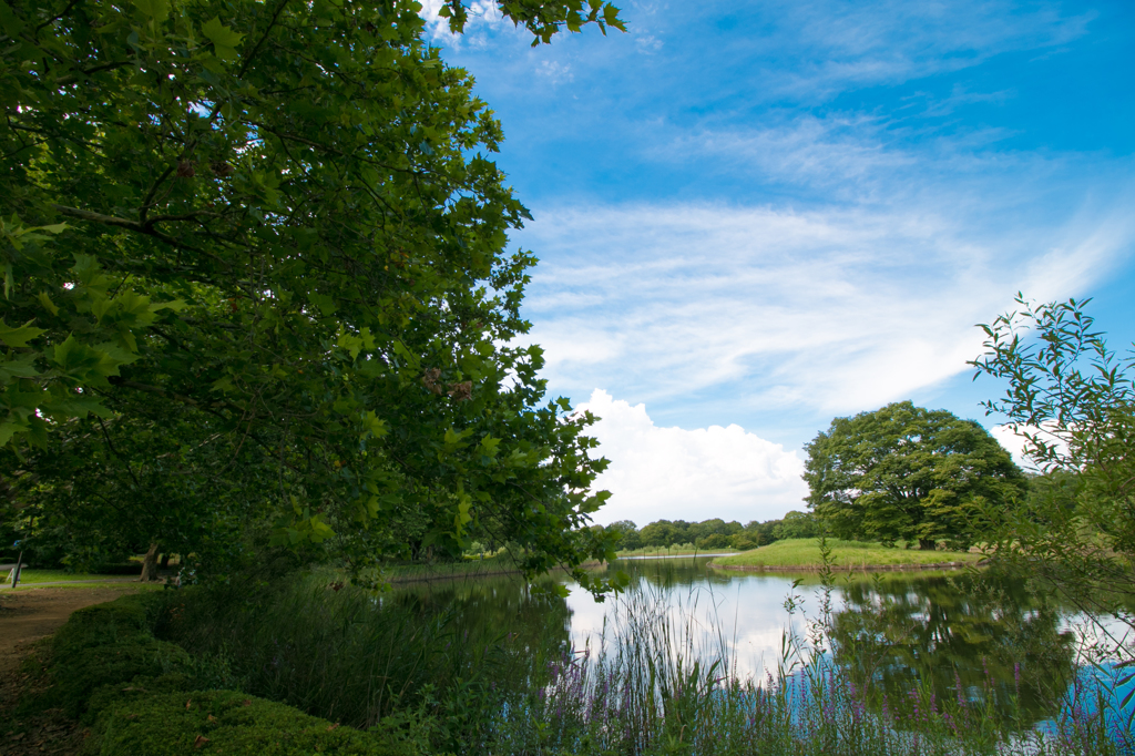 beautiful day 2 / 昭和記念公園