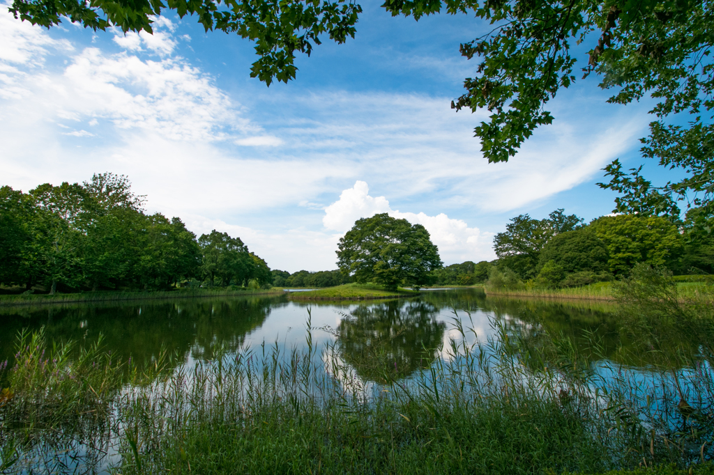 beautiful day / 昭和記念公園