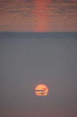 水橋より朝日