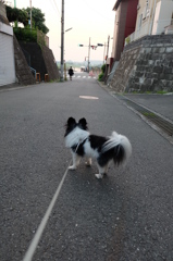DSCF2657
