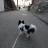DSCF2657