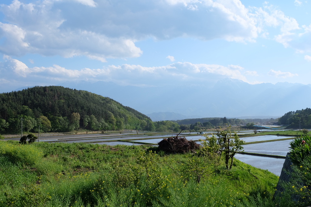 DSCF0773