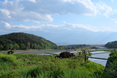 DSCF0773
