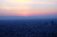 DSCF0116