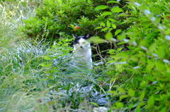 DSCF7378
