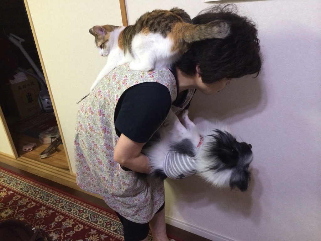 おんぶにだっこ