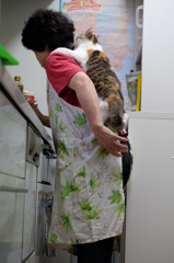 DSCF7588