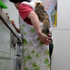 DSCF7588