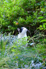 DSCF7397