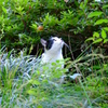 DSCF7397