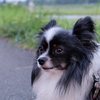DSCF2668