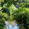 DSCF7275