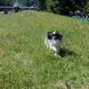 DSCF5720