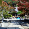 DSCF8364