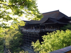 新緑の清水寺