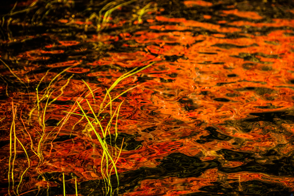 水面　～紅葉に燃えて～