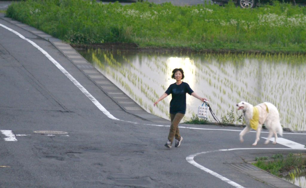 楽しいお散歩