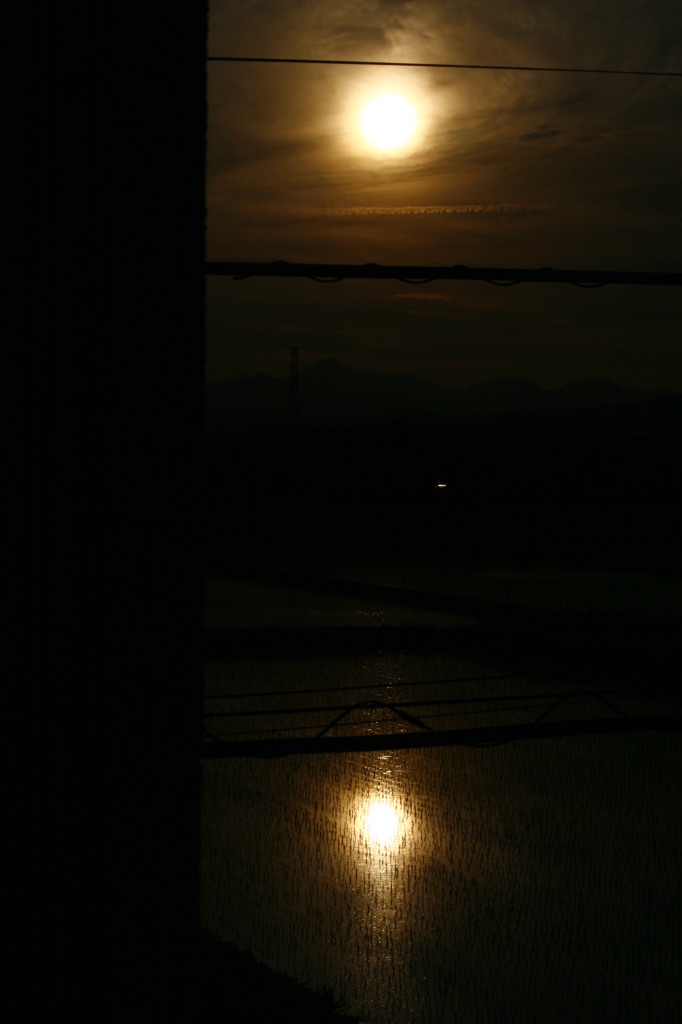 田んぼの太陽