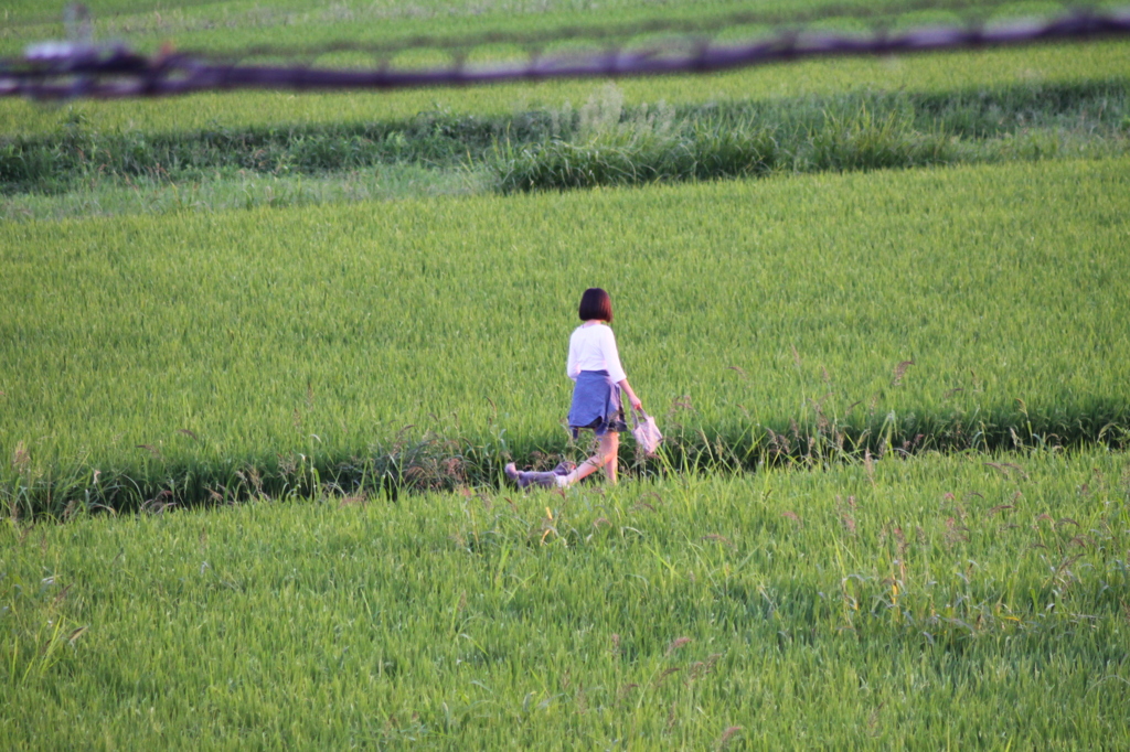 さんぽ