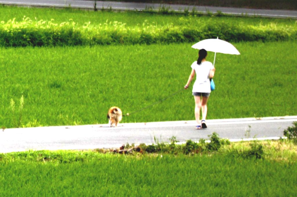 さんぽ