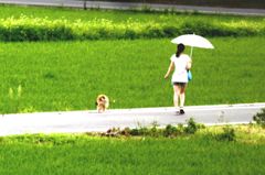 さんぽ