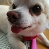 そして起きた