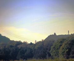 IMG_35941