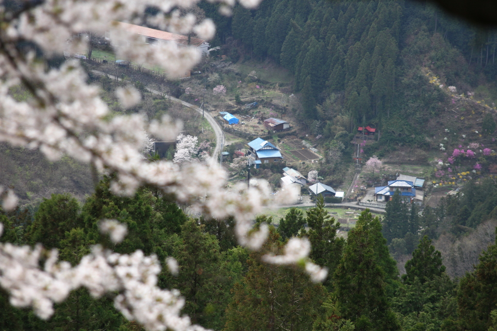 桜山公園より